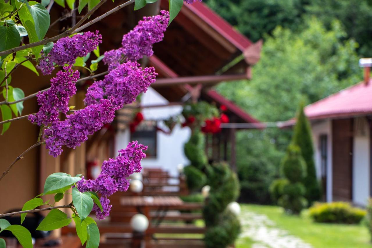 Patakmenti Panzio Spa コルンド エクステリア 写真